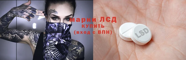 прущие грибы Пересвет