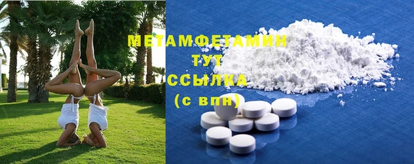 прущие грибы Пересвет