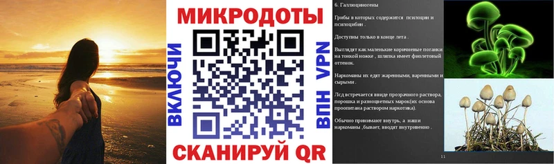 Галлюциногенные грибы прущие грибы  Уржум 